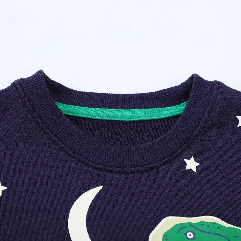 Baby Boys Luminous Dinosaur Pullover Sweatshirt