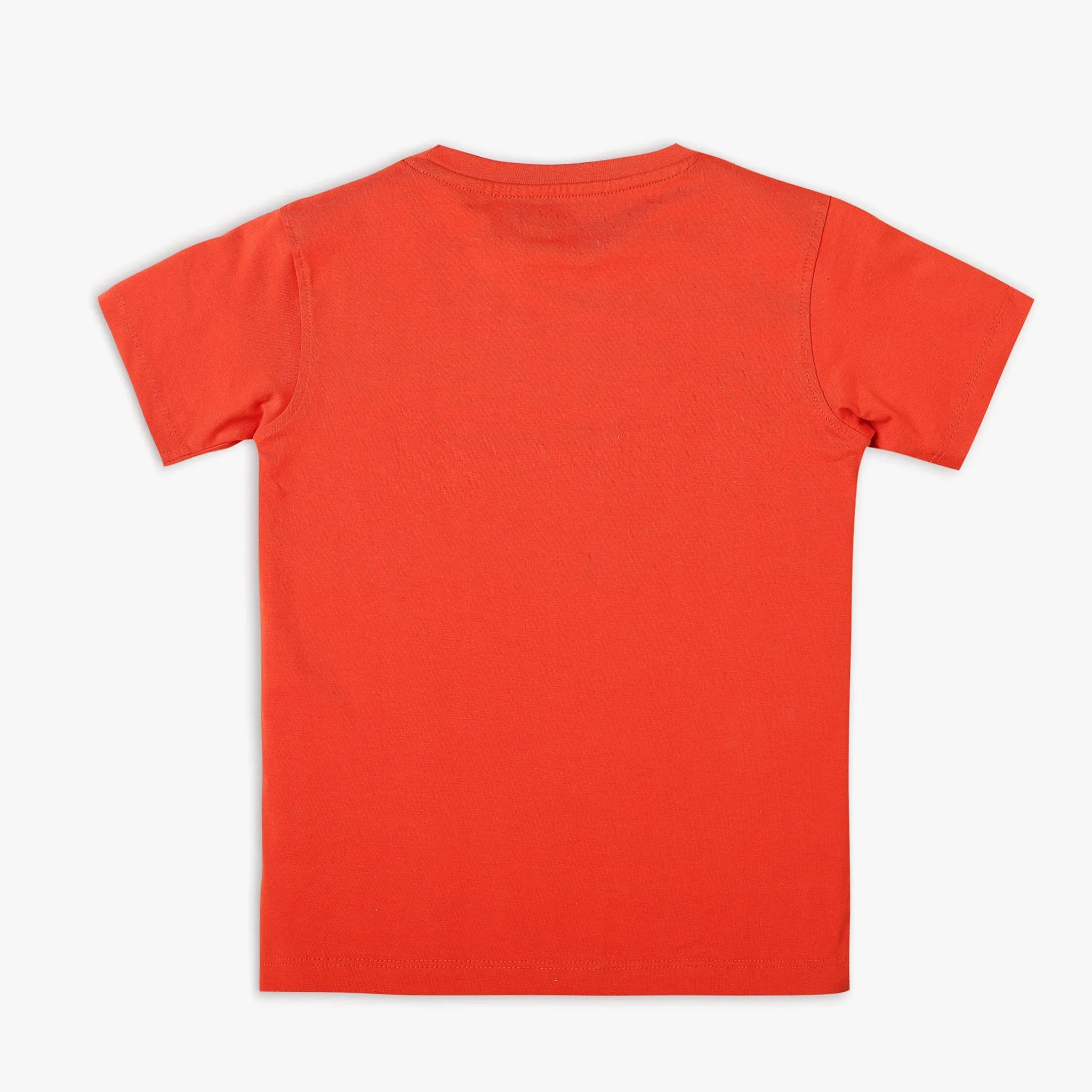 Boy's Regular Fit Graphic T-Shirt