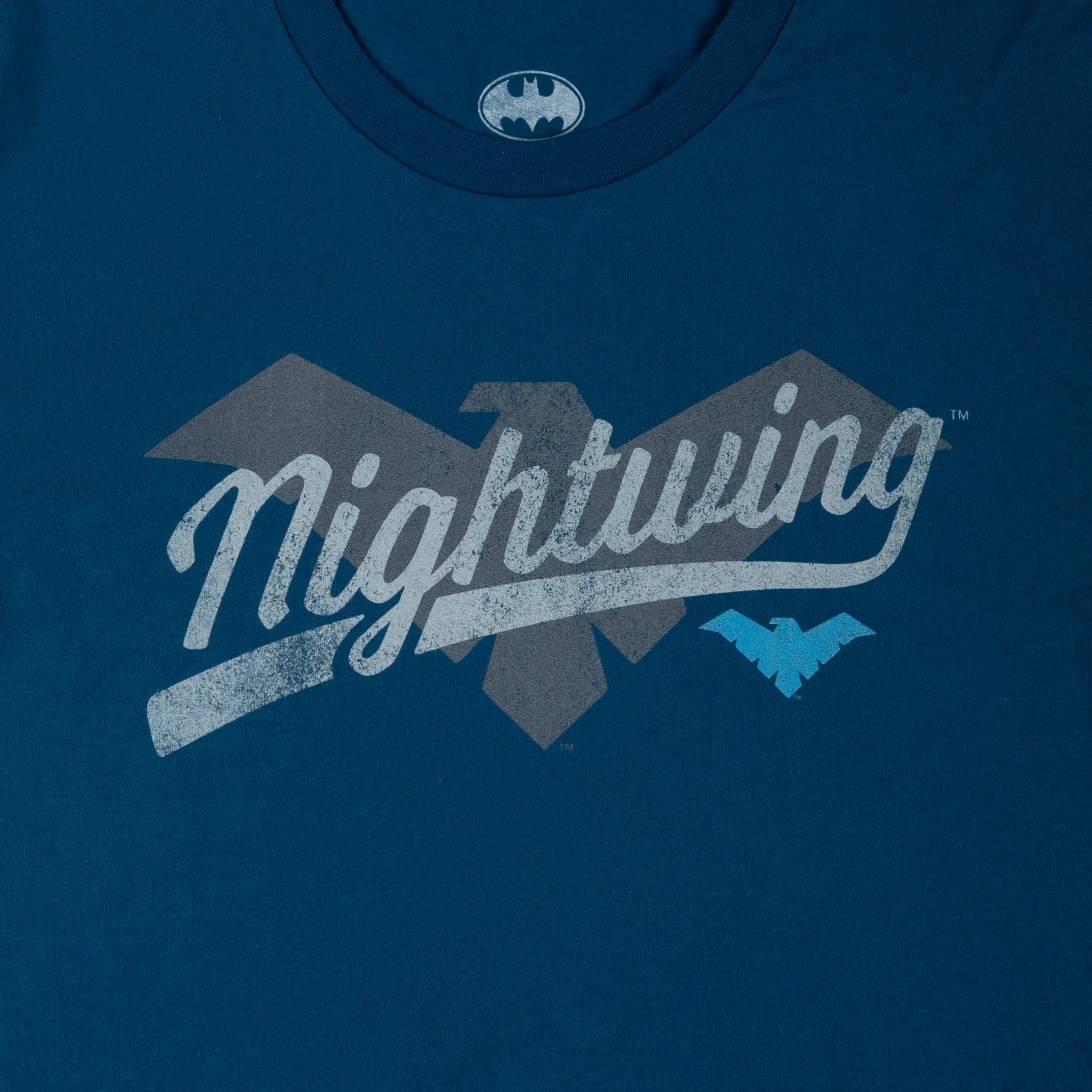 Nightwing Icon Blue Long Sleeve